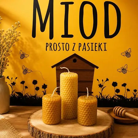 Kokolinko- Dom Caloroczny Na Mazurach *